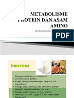 Metabolisme Protein Dan Asam Amino