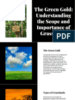 Wepik The Green Gold Understanding The Scope and Importance of Grasslands 202310150705476XT3