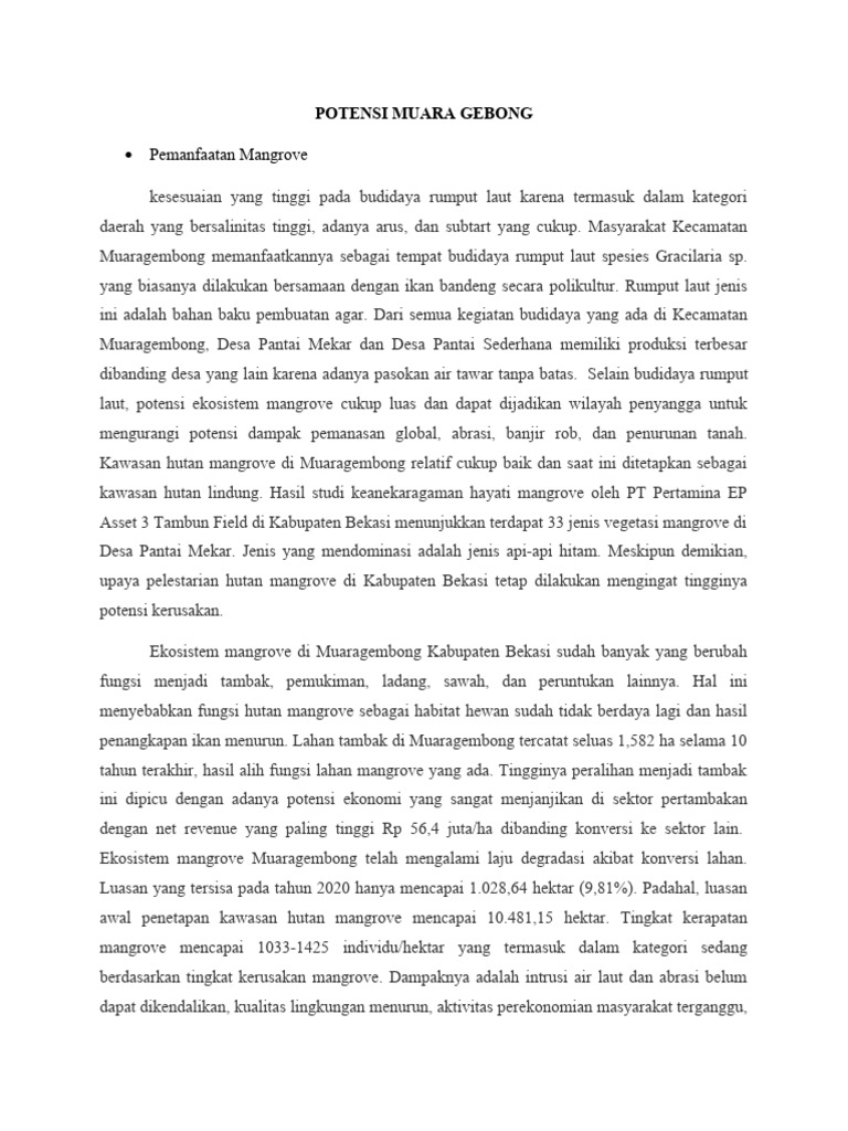 Potensi Muara Gebong | PDF