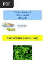 Aula E. Coli, Salmonella, Shigella