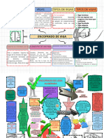 Organizador Grafico Proyecto Creativo Multicolor (4) - Removed