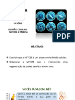 Divisão Celular Mitose e Meiose PDF