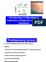 Introduction To Mycology