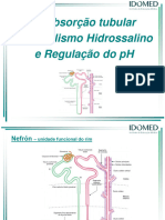Reabsor o Tubular Metabolismo Hidrossalino e Regula o Do PH 2023