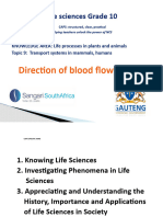 Pp15. Direction of Blood Flow