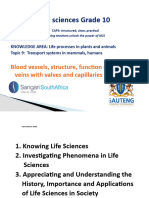 Pp17. Bloodvessels and Valves Structure and Functions