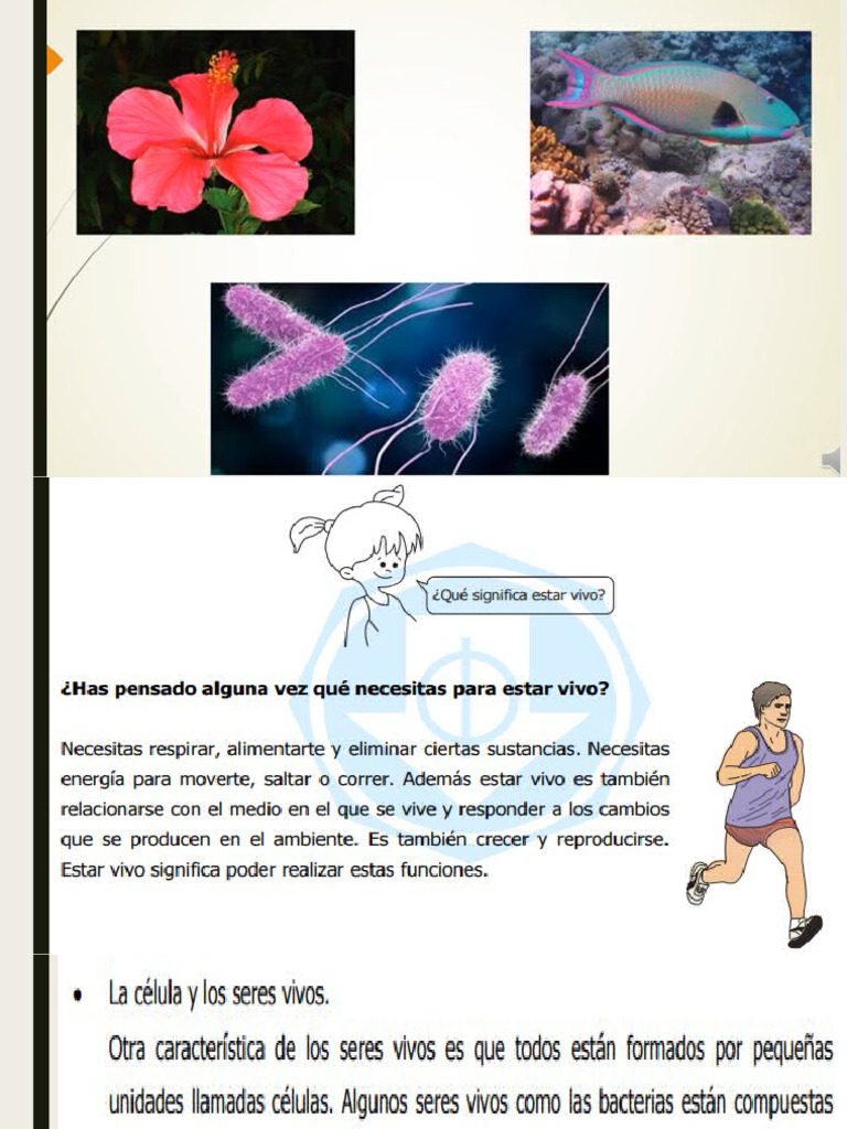 Ppt Clasificación De Los Seres Vivos Pdf