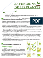 T 4 Les Funcions Vitals de Les Plantes