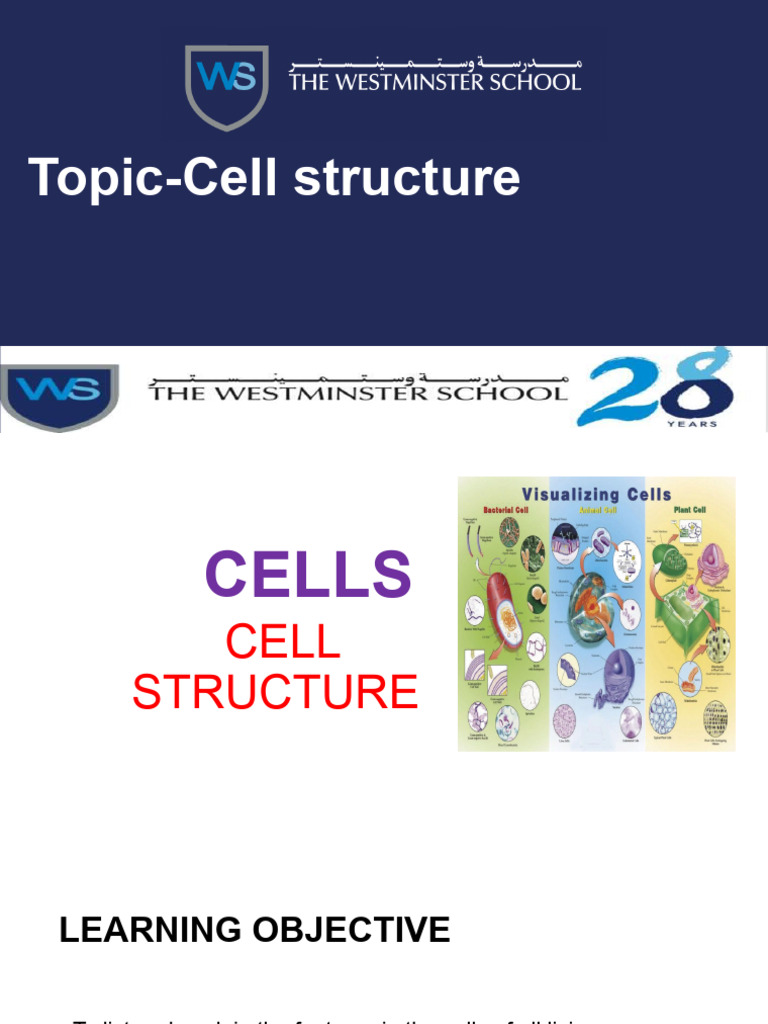 Cell Structure - Bio | PDF