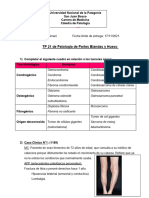 TP 21 - Patología de Partes Blandas y Hueso - TM