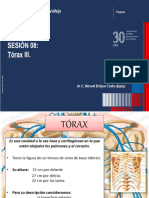 Sesión 8 - Torax III - Anatomía