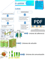 Catedra 2 Dori