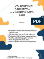 Fakta Unik Dan Ajaib Sistem Reproduksi Laki Laki - 20231103 - 095629 - 0000