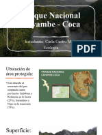 CAYAMBE COCA 