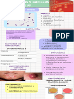 Intoxicación Por Staphy Aureus