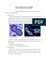 Bakteri Aerob Dan Anaerob Dan Bakteri Gram Positif Dan Negatif