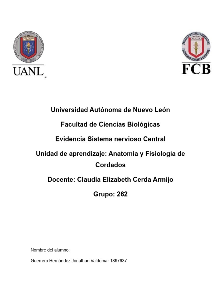 evidencia-snc-1897937-descargar-gratis-pdf-cerebro-la-columna