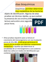 Pruebas Bioquimicas