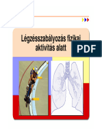 02 Legzes Szabalyozas Sport