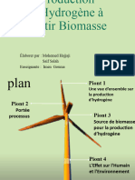 Production D'hydrogène À Partir Biomasse