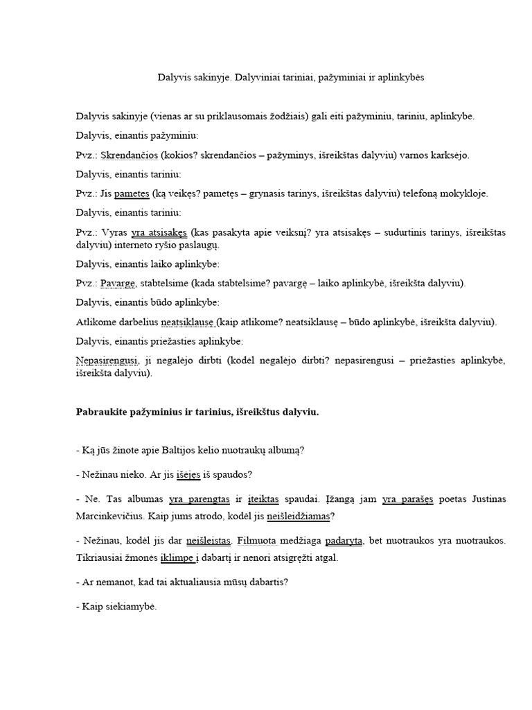 Dalyvis Sakinyje | PDF