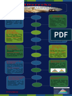 Infografia Derecho