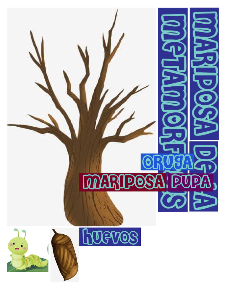 Descomposición de Luz en Colores | PDF | Ligero | Arco iris