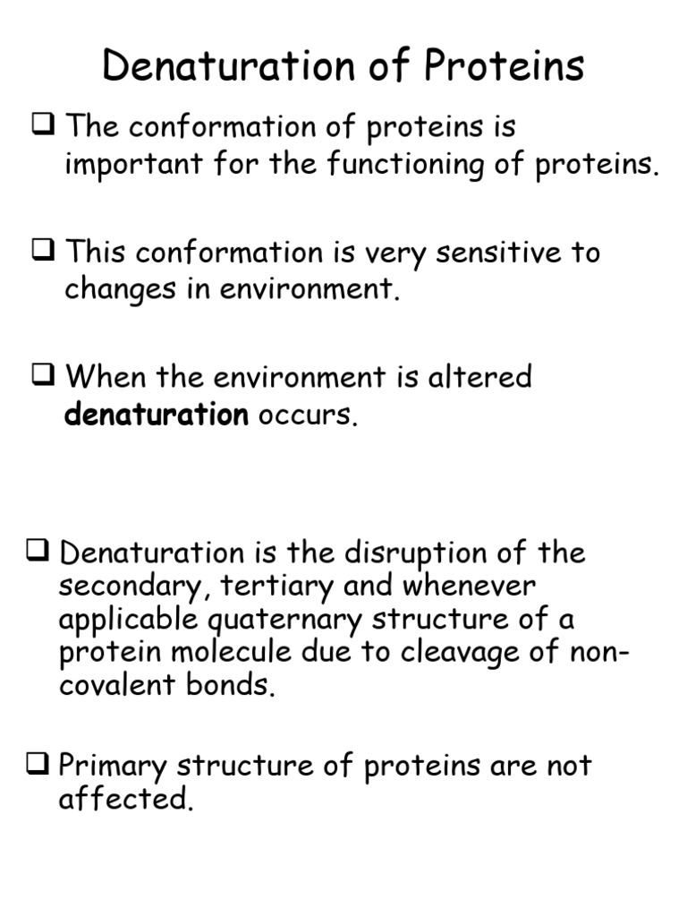 12.proteins Denaturation Download Free PDF Proteolysis