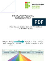 Aula Fotossíntese OK