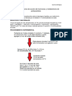 TPN3 Mecanismo de Acción de Hormonas y Metabolismo de Polisacáridos