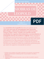 Maniobras de Leopold