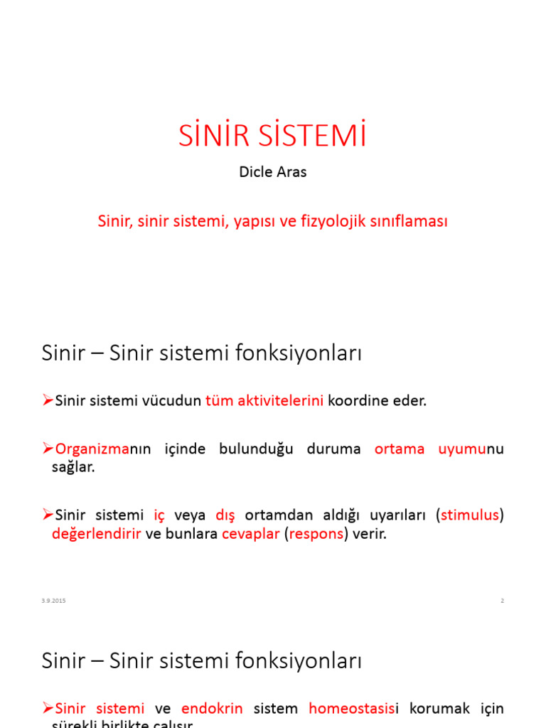 Sinir Sistemi Not | PDF