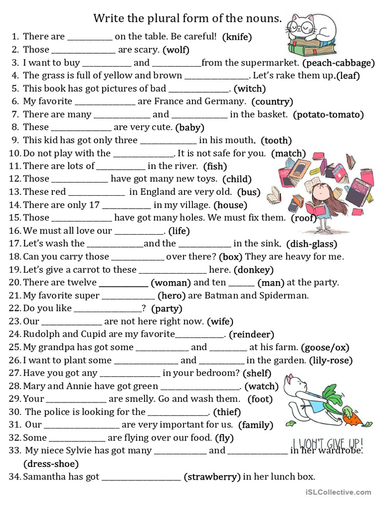 Plural Form Tests PDF