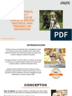 Presentacion Protocolo para El Ingreso y Permanencia de Perros de Servicio Asistencial para Personas Con Discapacidad