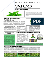 Infografía de Periódico Moderno Ordenado Colorido