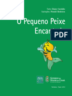 09 - o Pequeno Peixe Encantado