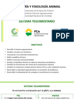 9 - Sistema Tegumentario (TP) para Subir Al Aula