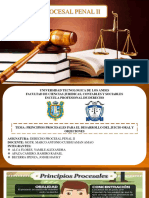 Derecho Procesal Penal Ii-Juicio Oral (Principios)