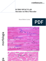 1B MM Esquelético