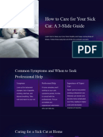 How To Care For Your Sick Cat A 3 Slide Guide