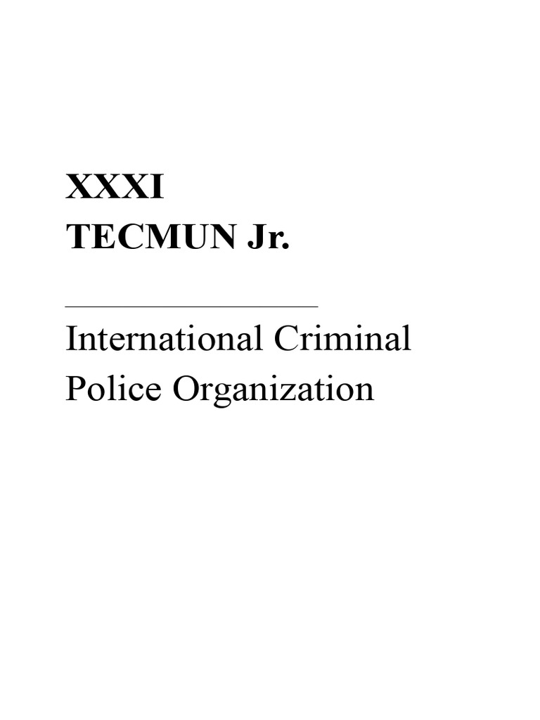Handbook Interpol | PDF
