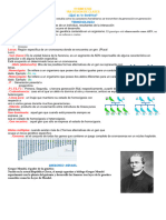 Resumen-Genetica - 4to Grado