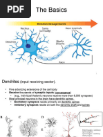 Baudry M - Advances in Synaptic Plasticity | PDF | Long Term