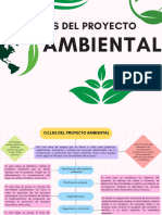 Semana 13 - Ciclos Del Proyecto Ambiental