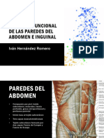 Anatomia Funcional de Las Paredes Del Abdomen e Inguinal