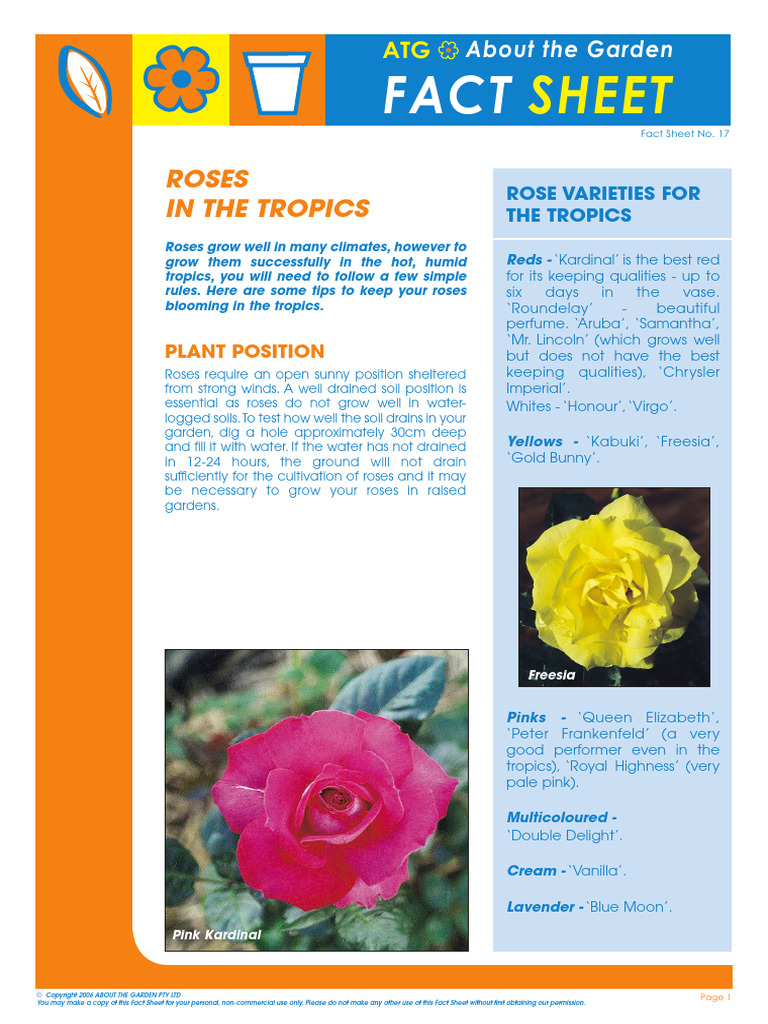 ATG Fact Sheet 17 Roses in The Tropics PDF