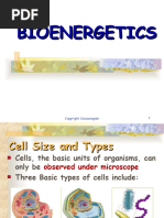 Bioenergetics1