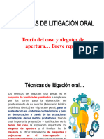 Teoria Del Caso y Alegatos de Apertura