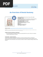 Surfaces of Teeth Explained | PDF | Dental Anatomy | Tooth