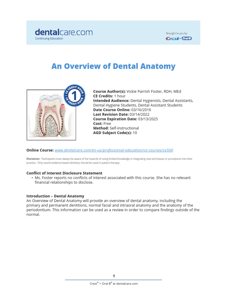An Overview of Dental Anatomy PDF Dental Anatomy Tooth